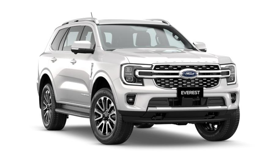 Everest Platinum