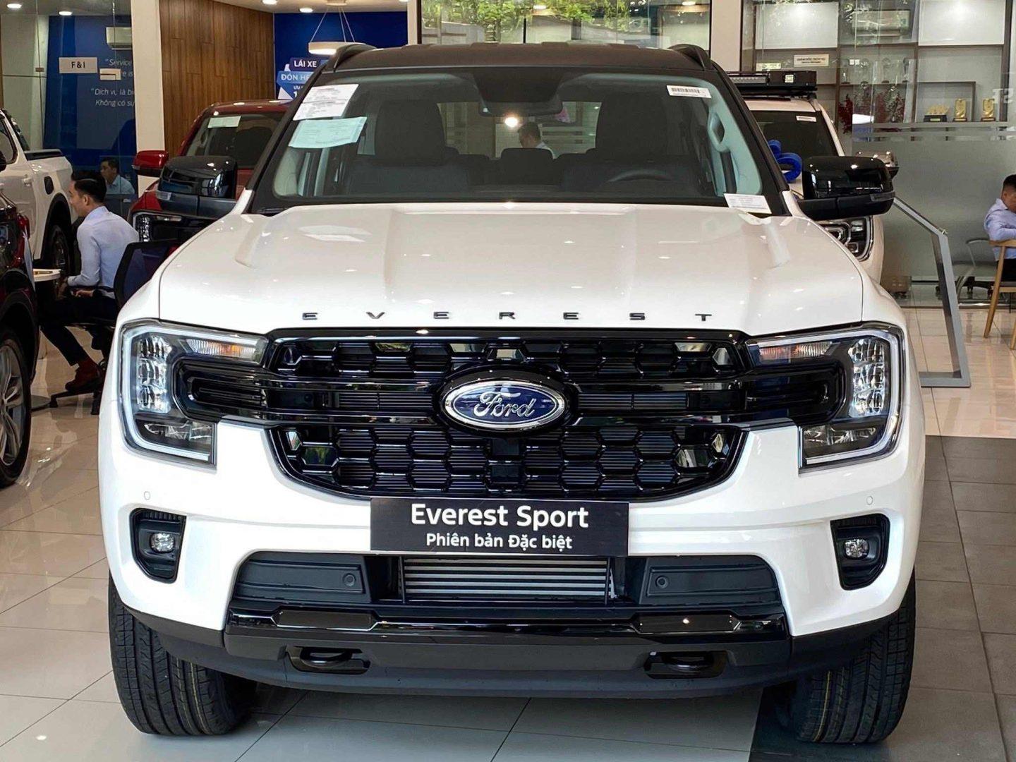 Everest Sport SE